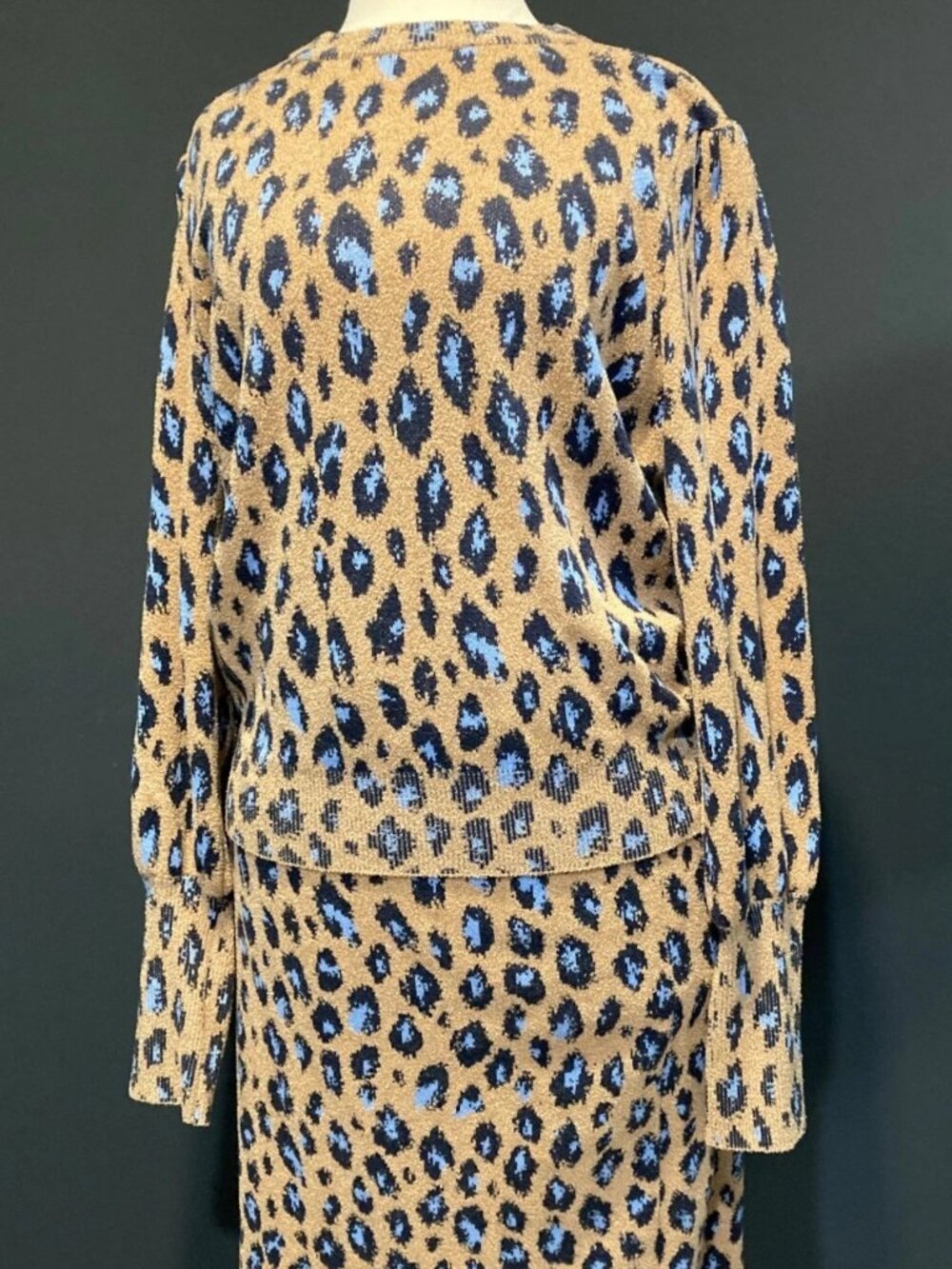 Ann Taylor Leopard Animal Print 2pc Co ord Set Outfit Skirt Sweater Size Large
